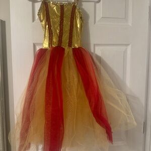 Red and Gold Costume